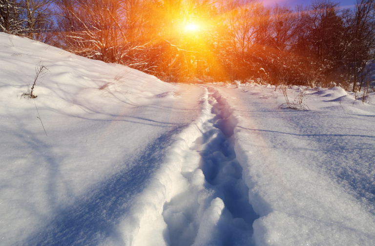 The Pathway to Healing: Part 1