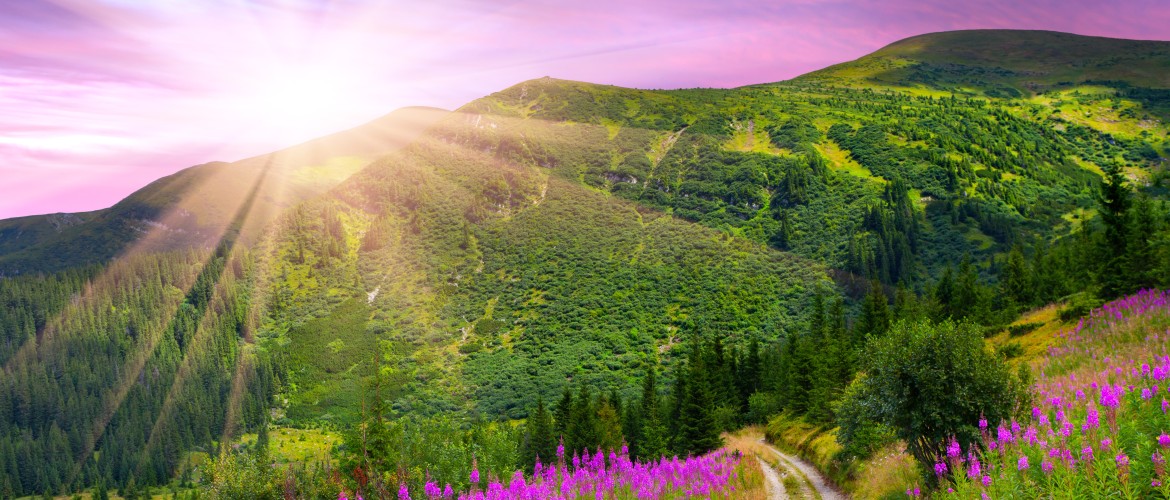 Caring for the Spirit as an Arm of Inspired Health Group