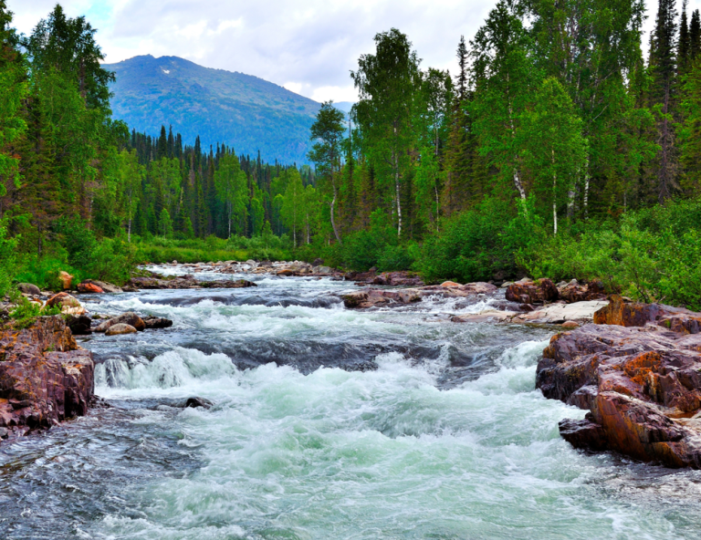 Part 1: “THE RIVER OF LIFE JOURNEY CENTER”