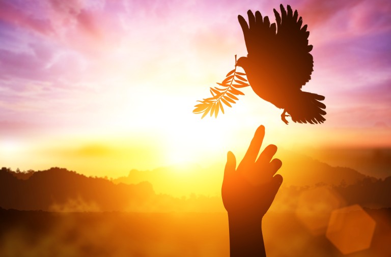 Celebrating with Joy & Gratitude the Divine Bounty Given: Part 2